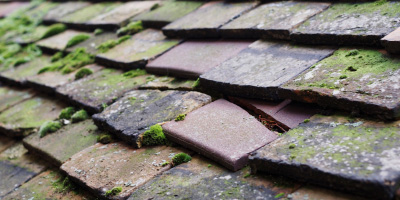 Llandyfrydog roof repair costs